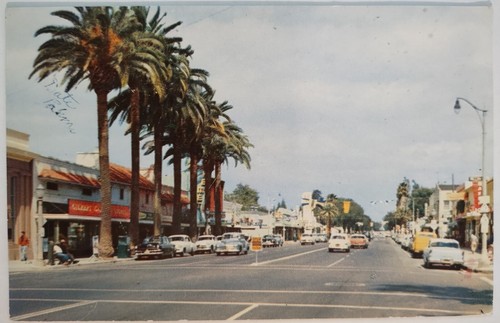 Vintage postcard florida - vintage,